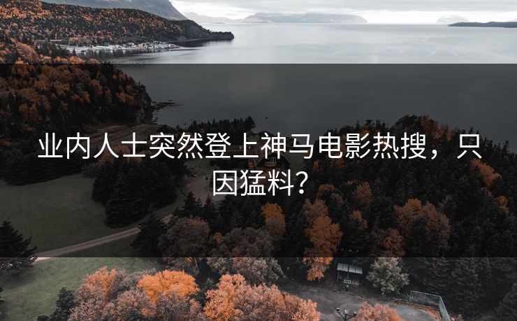 业内人士突然登上神马电影热搜，只因猛料？