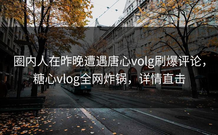 圈内人在昨晚遭遇唐心volg刷爆评论，糖心vlog全网炸锅，详情直击
