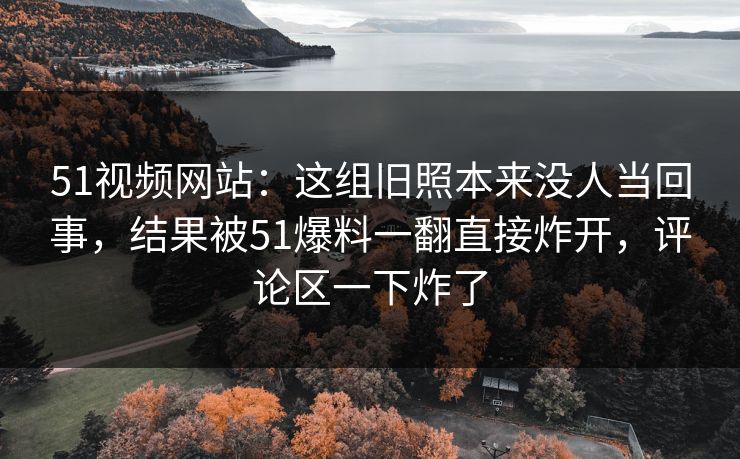 51视频网站：这组旧照本来没人当回事，结果被51爆料一翻直接炸开，评论区一下炸了