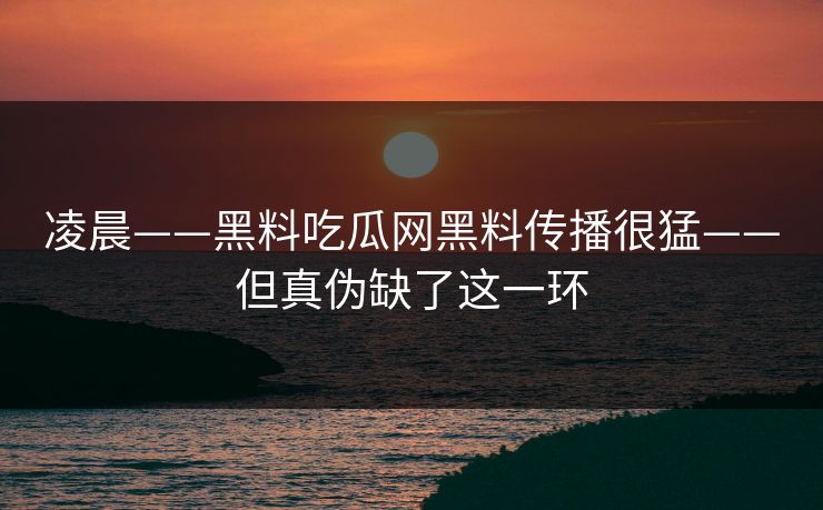 凌晨——黑料吃瓜网黑料传播很猛——但真伪缺了这一环